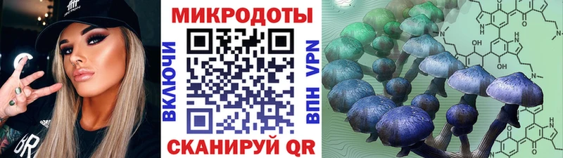 купить   ссылка на мегу tor  Псилоцибиновые грибы MAGIC MUSHROOMS  Усть-Илимск 